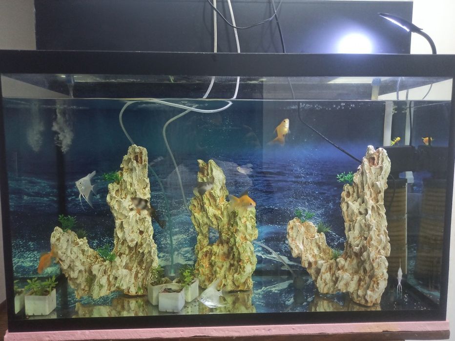 Akvarium sotiladi razmeri 90 .37. 55 soni 2 ta .