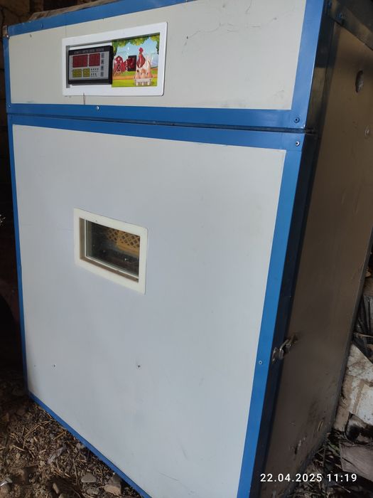 Инкубатор сотилади. 1000 талик