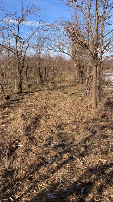 Defrisari terenuri, intretinere spatii verzi si demolari