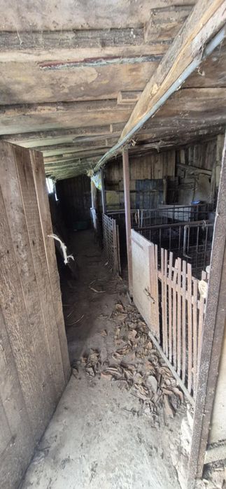 Продава се Къща в с. Сребърна, Област Силистра - 85 кв.м за 183 €/кв.м - Снимка #16