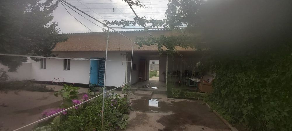 Продаются дом в толе би