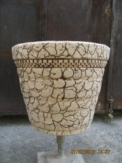 Версачи тувак ва кузалар