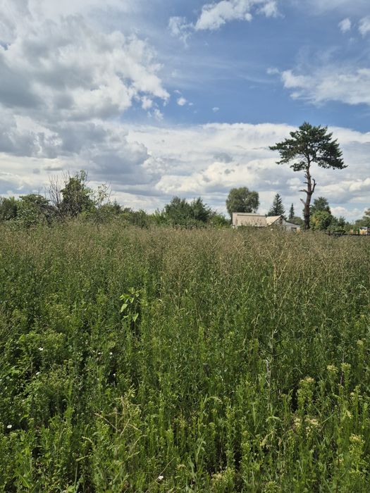 Продам дачу 6 соток