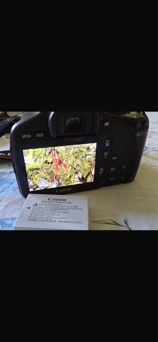 Canon EOS 550D.