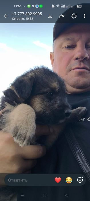 Девчульки красотульки в добрые,надёжные руки.