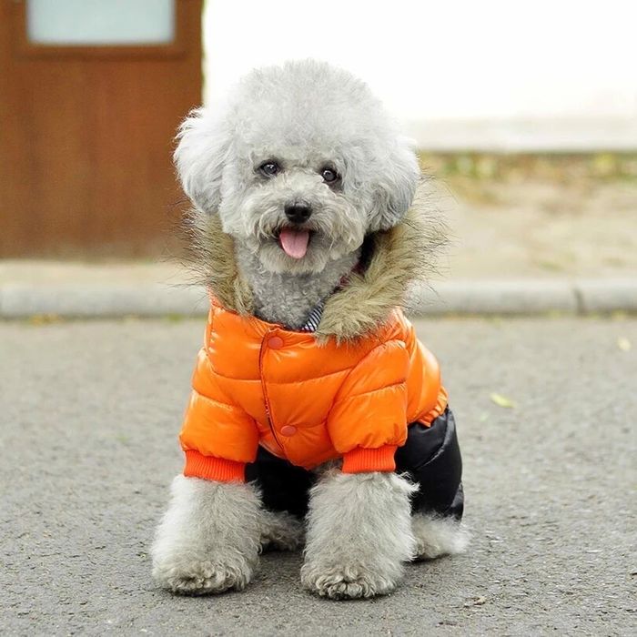 Кучешки дрешки яке гащеризон за куче зимно луксозно с качулка худи