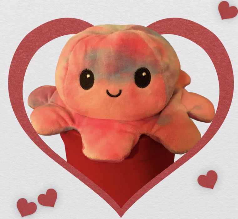 Обръщаемо плюшено октоподче