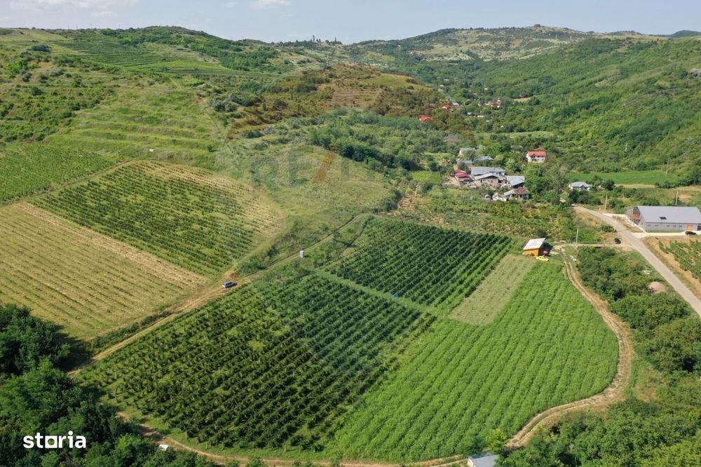 Oportunitate de investitie - Teren de vanzare I 4 ha I certificat ECO