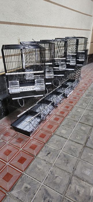 Клетка стандарт black edition