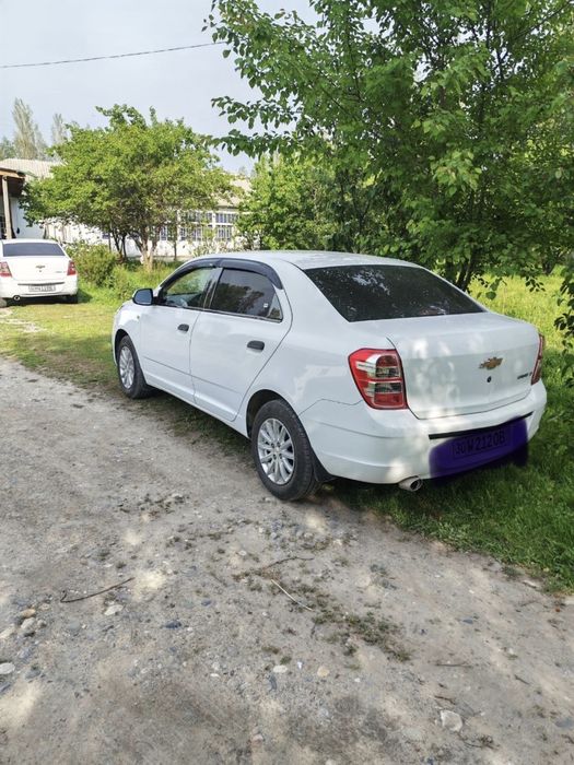 Other Cobalt 2020 — 2