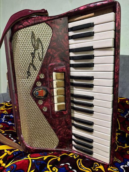 Muzikalni insturment