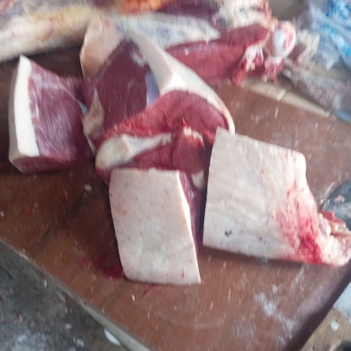 Продам мясо конина