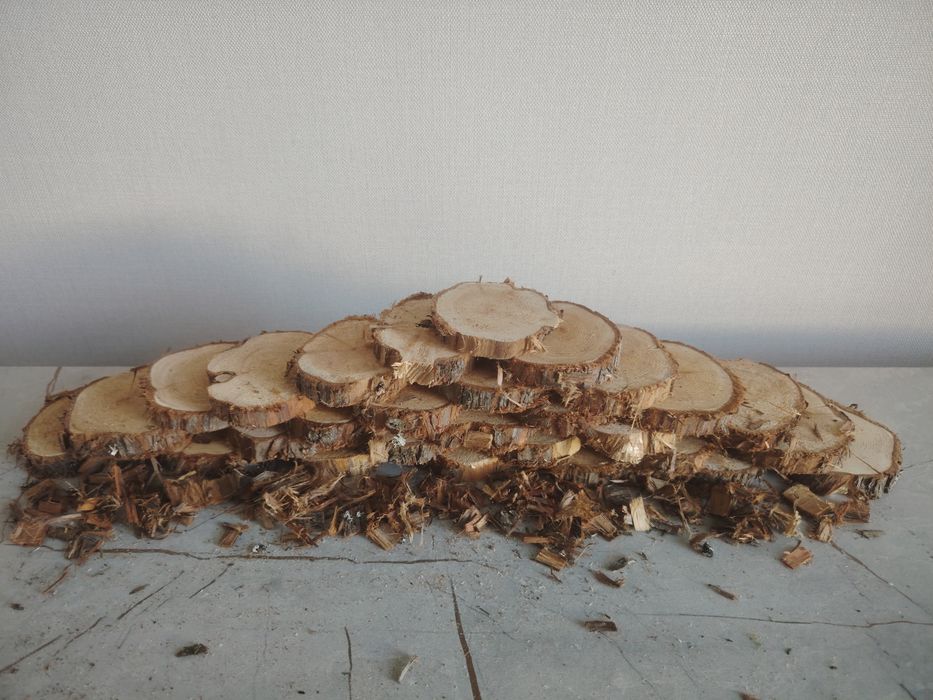 Слэбы спилы можжевельника