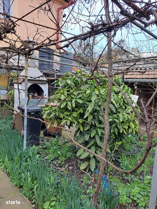 Casă P+E din căramidă în Ioșia cu 3 camere, bucătărie