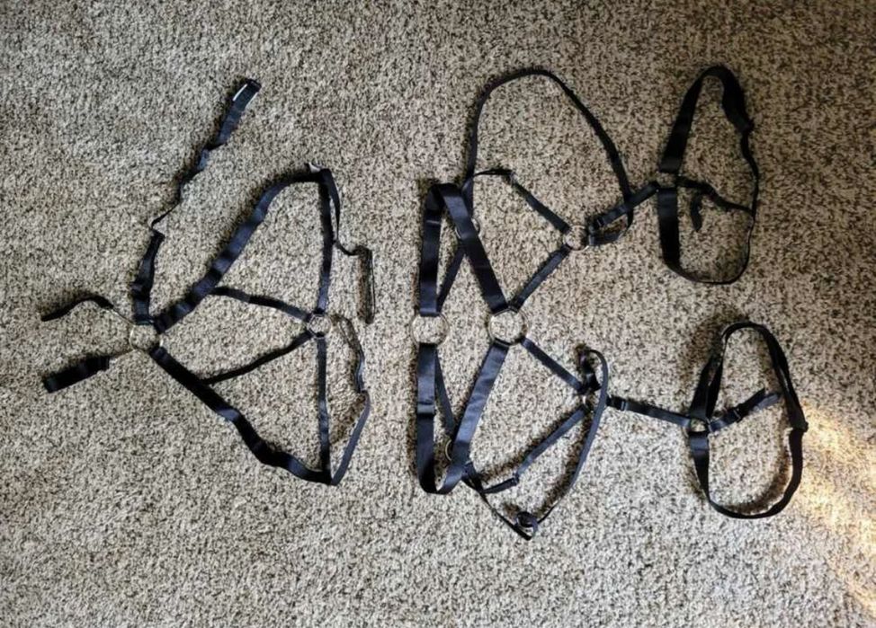 Set lenjerie sexy bondage harness