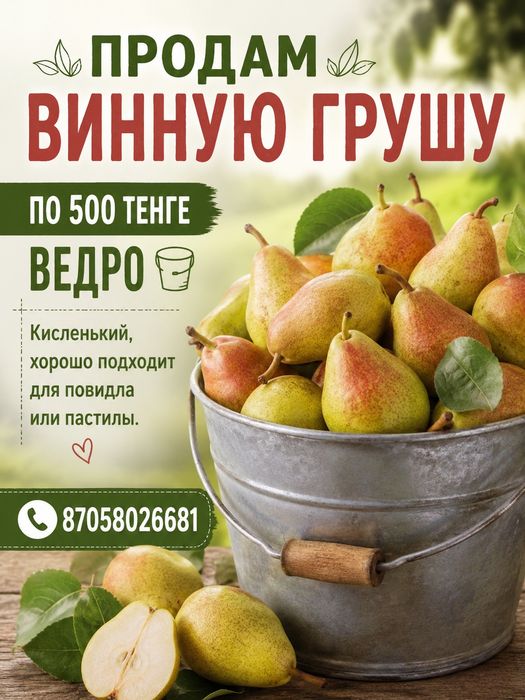Продам грушу 300 тенге ведро