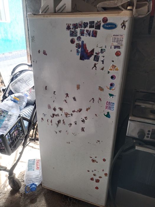 Холодильник  Бирюса