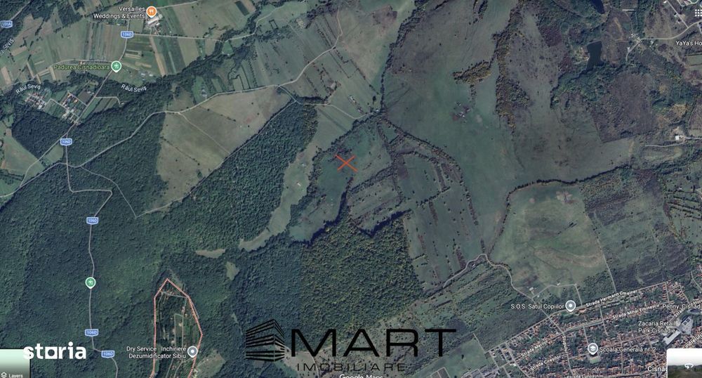 Teren extravilan agricol + fanata 21000mp Cisnadie