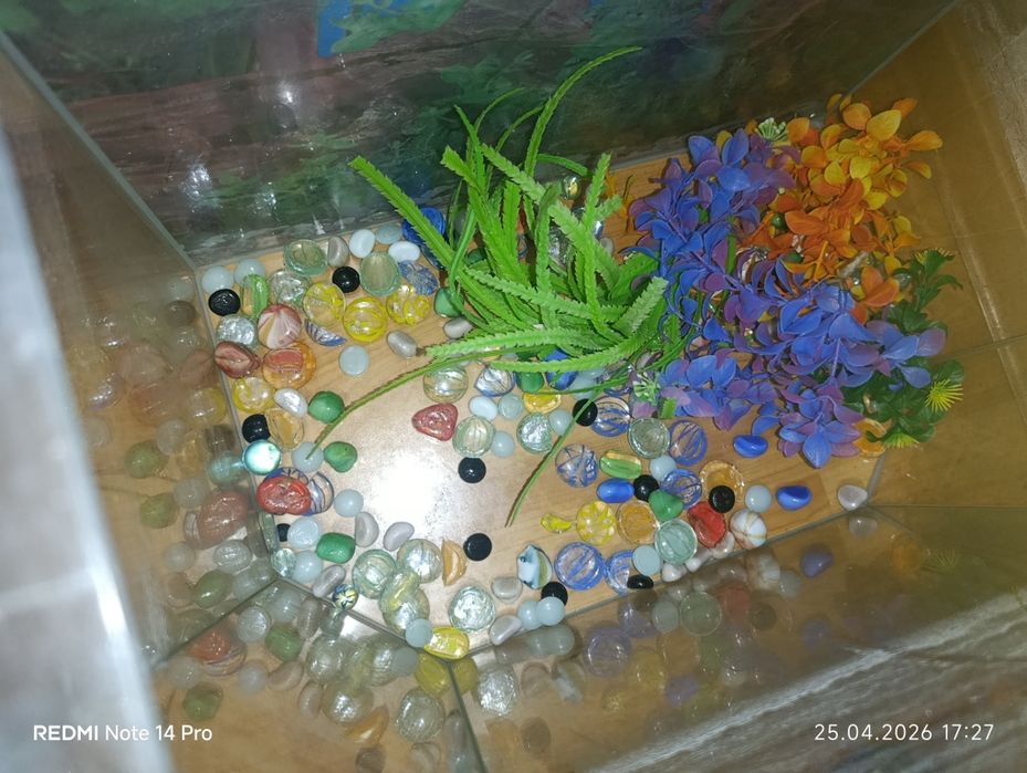 Продам аквариум .