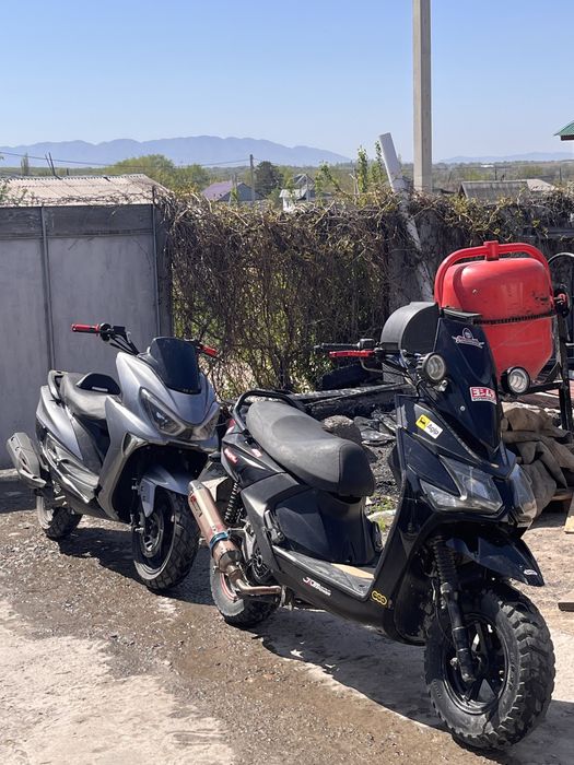 Макси на учете