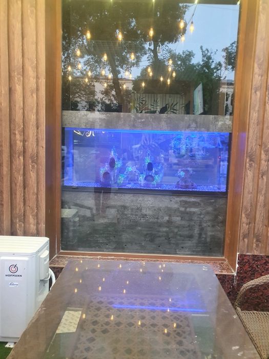 Akvarium yasab berabiz zakazga