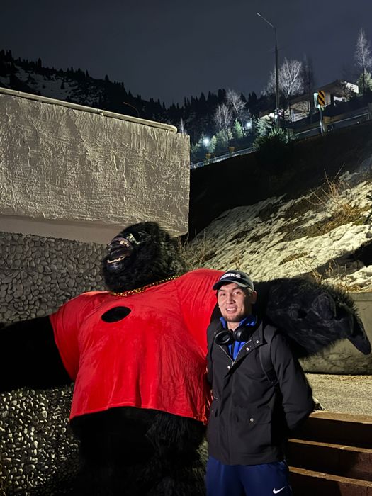 Хит горилла Кинг Конг прокат костюм аниматором