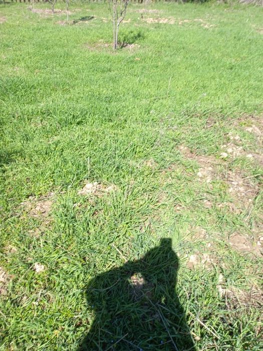 продаётся дачный участок 6 соток с кадастром за 12.000$