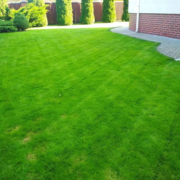 Газон под ключ вспашка земли мотоблоком