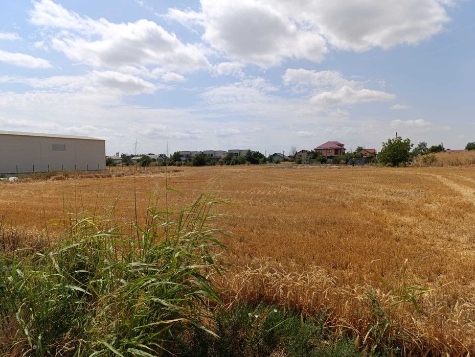 Vand Teren Intravilan 1040mp in Bragadiru