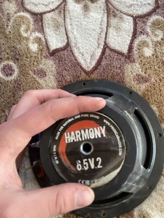 Прайды в нормалоном состояние