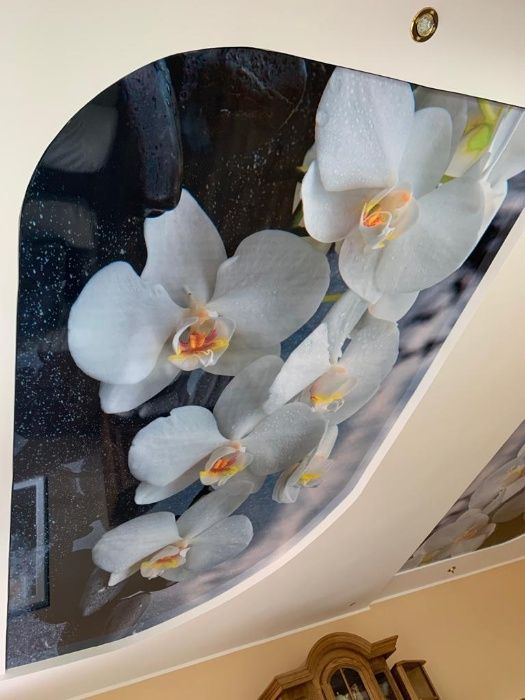 Tavane extensibile lucioase Olt