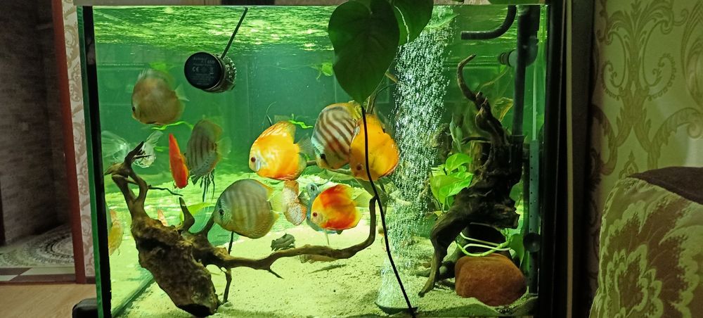 Продам аквариум 1600л.