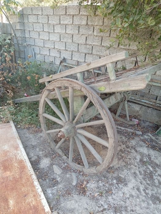 Ot arava sotiladi.