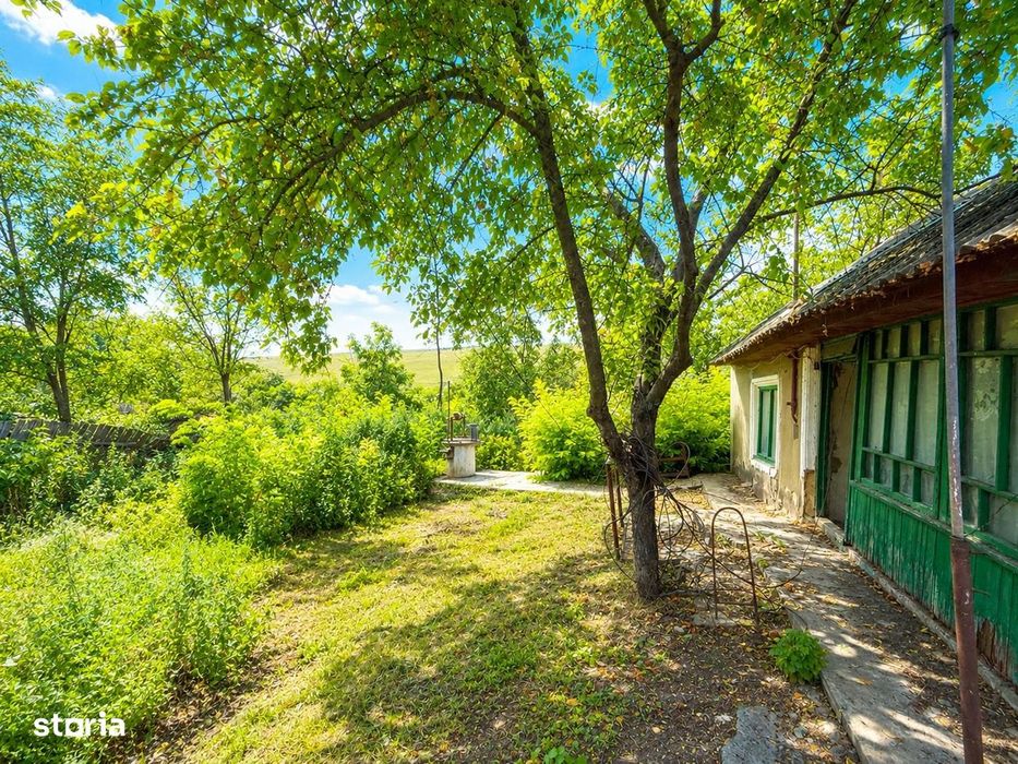 Casa + teren 2000 mp intravilan, ASFALT Malaiesti Iasi