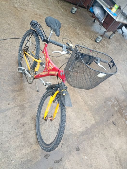 bicicleta adulti