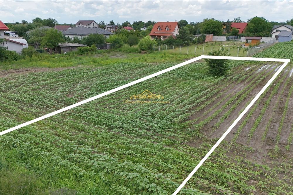 Teren 1500 mp Caciulati Moara Vlasiei, cu utilități