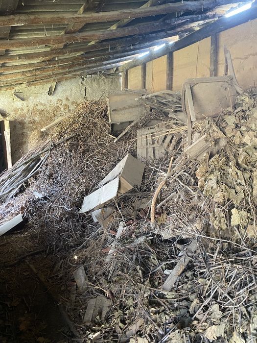 Quruq O'tin bor 2 Traktor hajmiga teng Srochna sotiladi