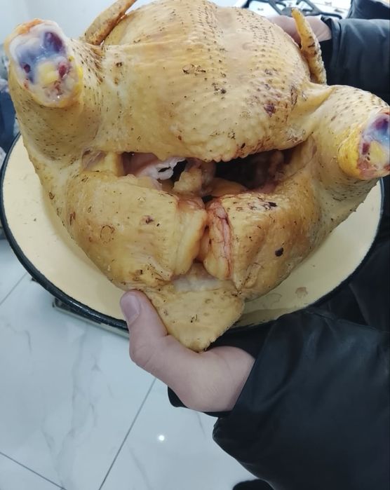 Бройлеры на мясо