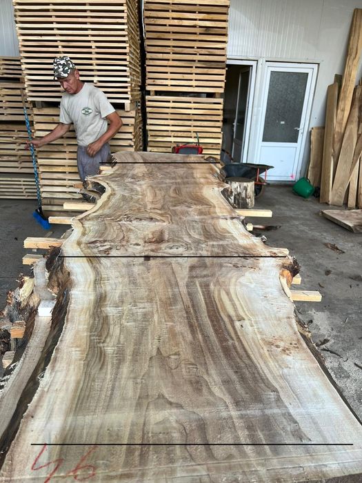 Felii, Blaturi Nuc, stejar plop 50-,100 cm