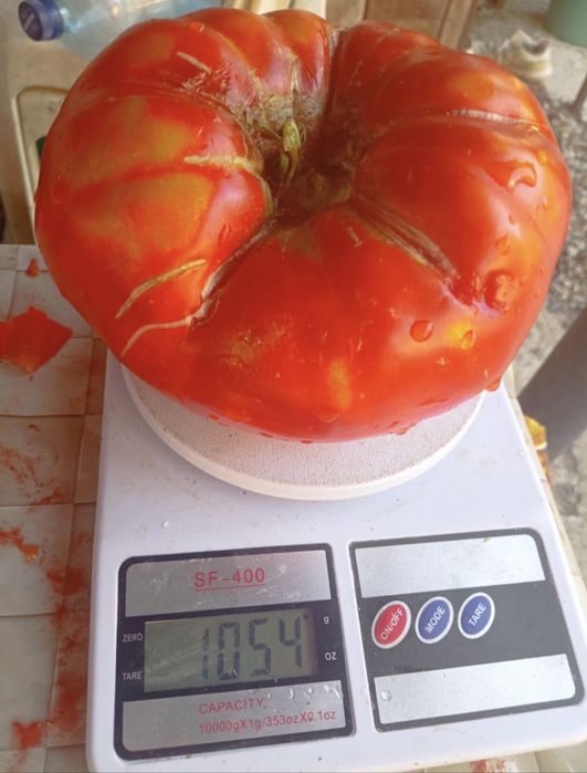 Vand rosii bio de solar