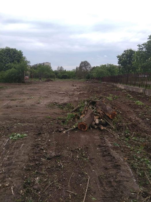 Рязане на високи опасни дървета косене на тревни площи