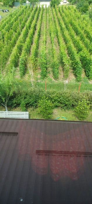 Vand casa constructie noua + teren intravilan in com.  Valea Calugareasca (intrare, str.Tudor Arghezi), 15 min din centrul Ploiesti..
