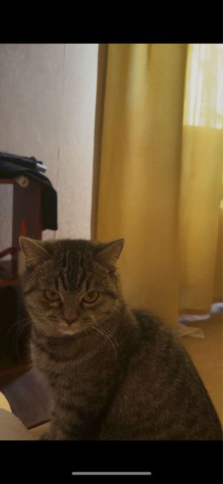 В хорошие , добрые руки