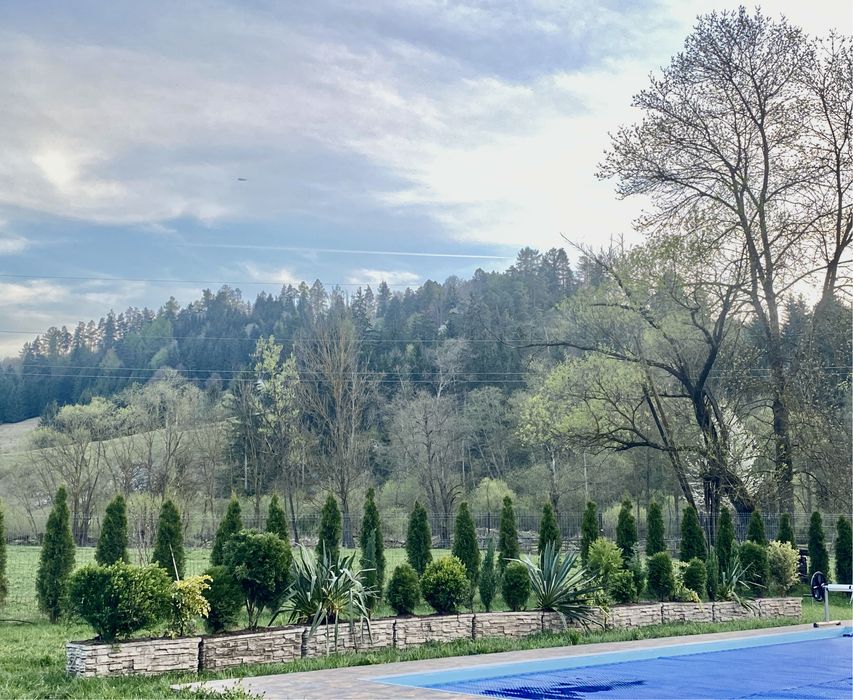 Cabana cu piscina și ciubar / jacuzzi