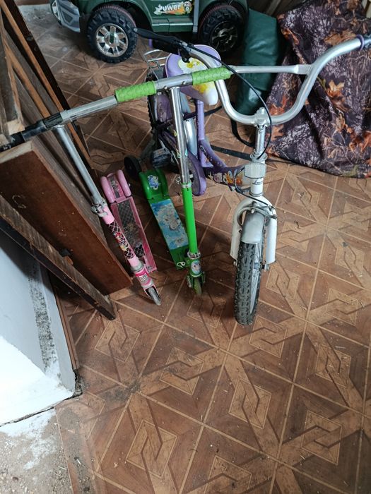 Отдам даром в одни руки