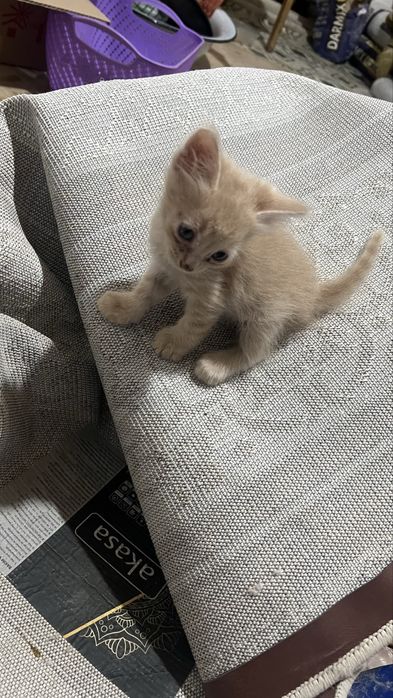 Все мальчики,3 месяца