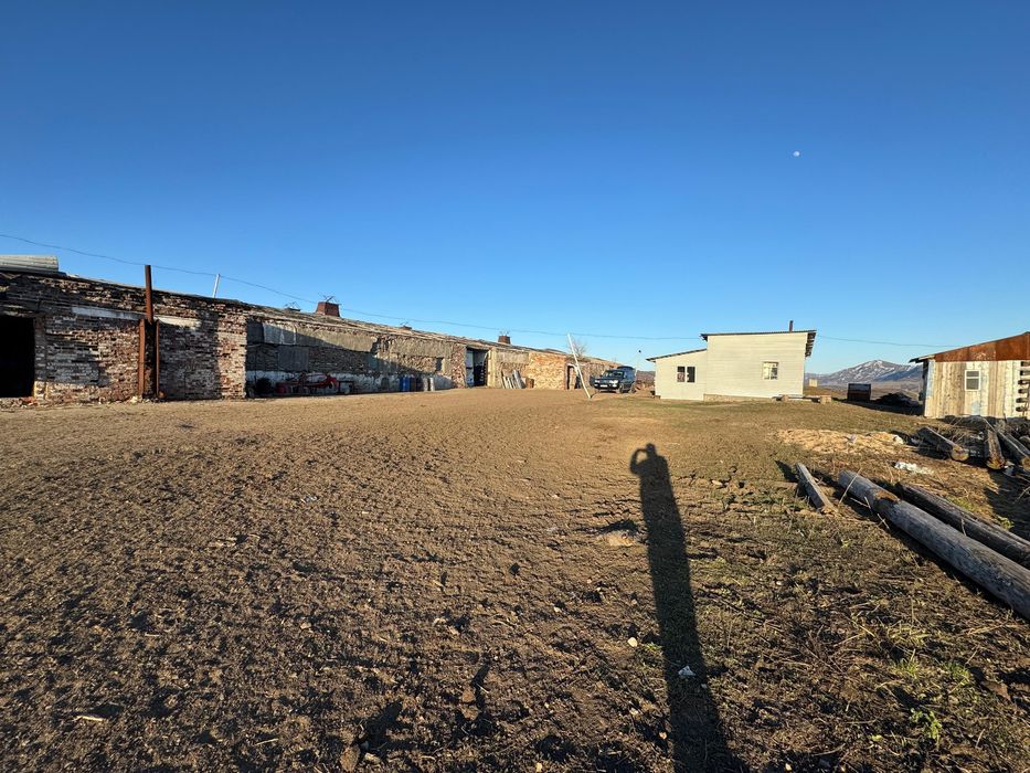 животноводческая база