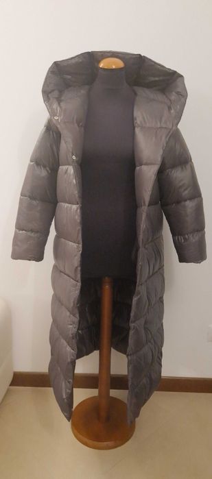 Canadiana  matlasata Mango