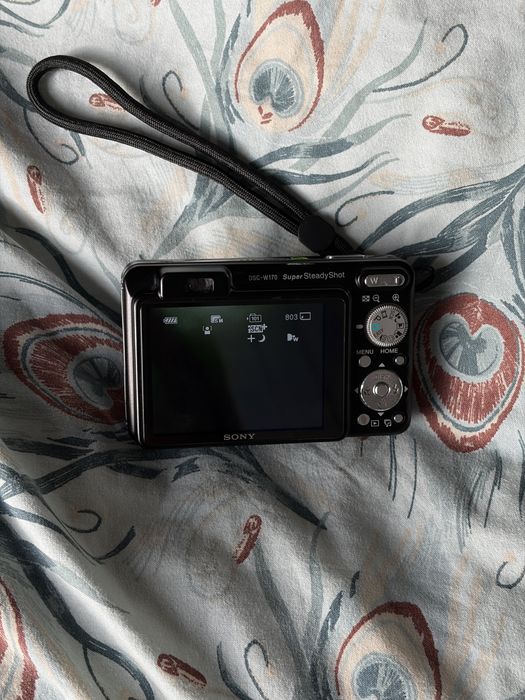 Sony Cybershot DSC W170
