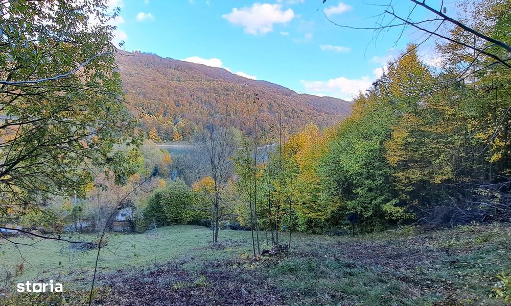 Vand teren cu vedere la lac, Valea Doftanei,Strada Lacului